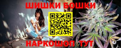 бошки Новокубанск