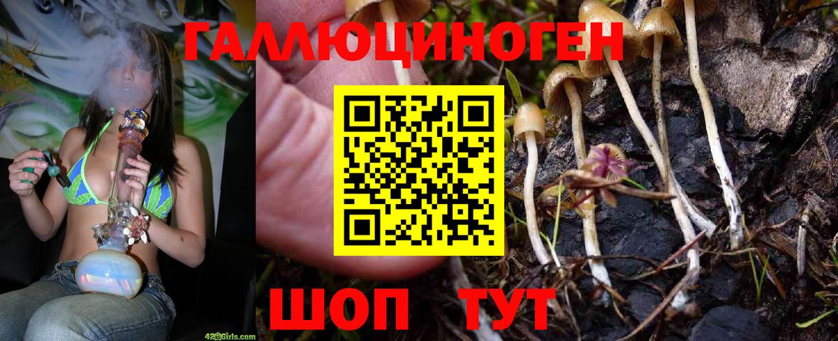 Галлюциногенные грибы мицелий Соль-Илецк